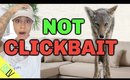 OMG! A COYOTE SLEPT ON OUR COUCH!! (NOT CLICKBAIT!) | RRLV