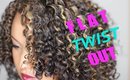 Natural Hair || The PERFECT Flat Twist Out