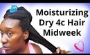 Moisturize DRY 4c Natural Hair Midweek | Retain Moisture & Length LBC Up