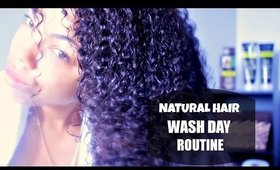 NATURAL HAIR:  Wash Day Routine