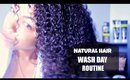 NATURAL HAIR:  Wash Day Routine