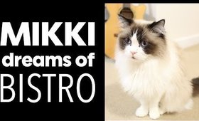 A Day in the Life of Mikki | Mikki Dreams of Bistro