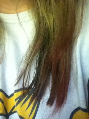 I used a pretty purple hair dye but it turned out auburn! It looks amazing! Opinions?