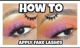 APPLY FAKE LASHES WITHOUT LINER! CURLY LASH FRIENDLY