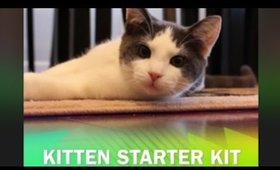 Kitten Starter Kit - You have a new kitten.. now what?