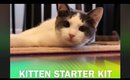 Kitten Starter Kit - You have a new kitten.. now what?