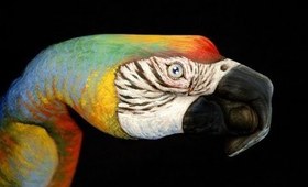 Hand Art: Parrot