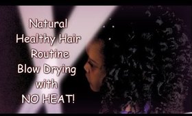 COCOAMO Product Review: Kynnedy Hair Update/Blow Drying with NO HEAT!