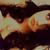 Estefania S.