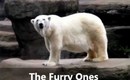 My Trip To The Zoo