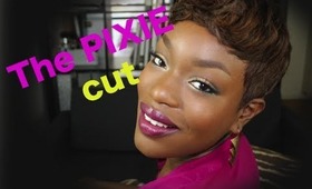 Pixie Cut | My new Do | DIY Wig