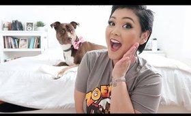 10 Tips For Handicapped Dogs / Caring For Special Needs Pets