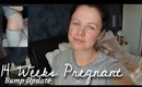 14 Weeks Pregnant UPDATE - BUMPDATE | Danielle Scott