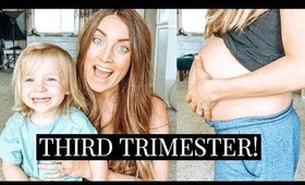 PREGNANCY UPDATE WEEKS 24-28 // PREPARING FOR 3RD BABY | Kendra Atkins