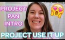 PROJECT PAN INTRO | Project Use It Up 2020