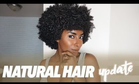 Natural Hair Update (July)