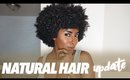 Natural Hair Update (July)