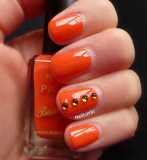 Barry M Coral 