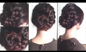 Braided Dragon Tail Updo