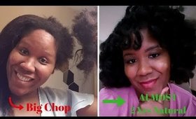 From Big Chop To ALMOST 2 Years of Growth - Natural Hair Journey Type 4 Hair (Pic Heavy)