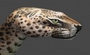 Hand Art: Leopard