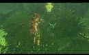 Girl plays Breath of the Wild BLIND STREAM PLAYTHROUGH. Part 31.1
