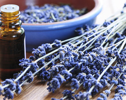 Best Essential Oils for Fall
