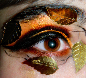 using a matte yellow cover your whole eye, then take a matte orange and put it in the crease then using a dark brown, go over the orange for a gradient effect, then cut your crease, taking a black liquid eyeliner and line your eyes and around the eye, then taking a cream sun yellow apply to eyelid, then taking a sunset eyeliner and line your lower waterline...then taking eyelash glue or liquid latex apply gold feathers round your eye...last darken your eyebrowns XDDD DONE!! (no mascara for this look)