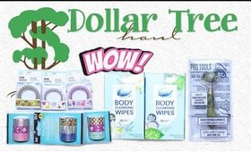 Dollar Tree Haul #24 | Washi Tape, Country Living Book & More | PrettyThingsRock