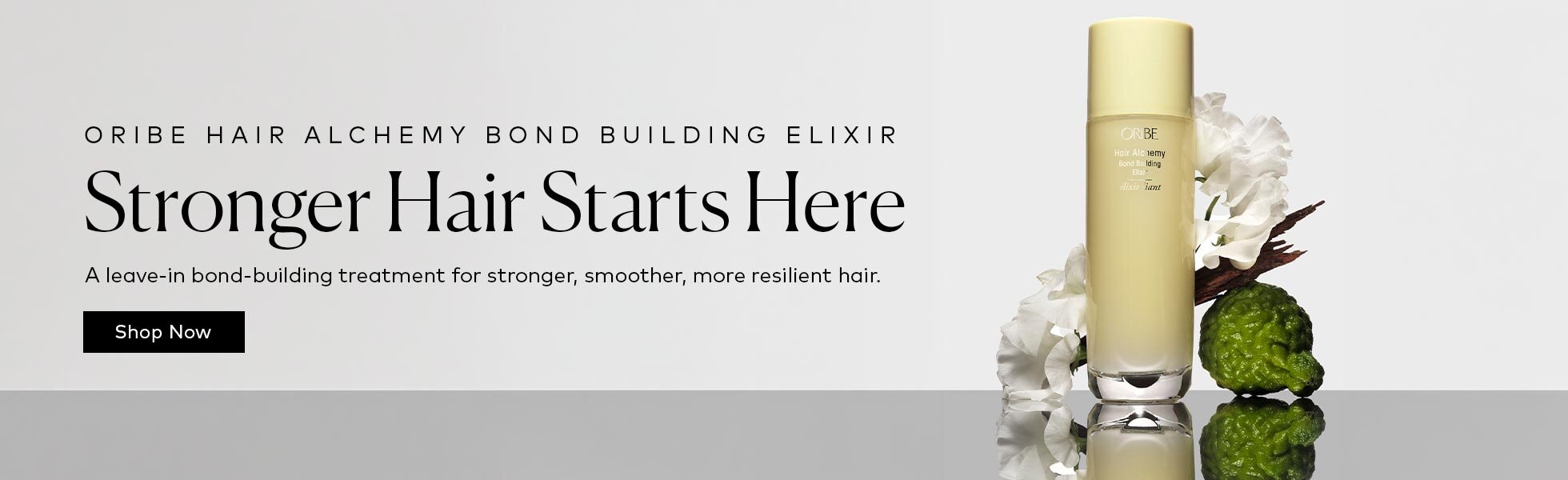 A moisturizing leave-in treatment that helps replenish all three types of hair bonds for stronger, softer, and more resilient hair. Shop the Oribe Hair Alchemy Bond Building Elixir on Beautylish.com