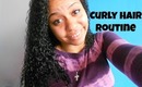 Curly Hair Routine No Wash