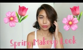 Spring Makeup Tutorial ♡ Rosegold look | Karren Mitzelle