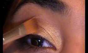 yellow,copper, & brown eyes: 1st makeup tutorial of 2010...