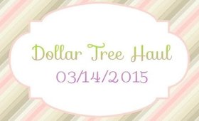 Dollar Tree Haul #5 - 03/14/2015