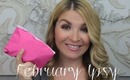 February Ipsy Unboxing- January Ipsy Reviews 2014