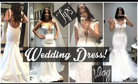 Finding my Wedding Dress Tips, Trying on Dresses Vlog, & More!