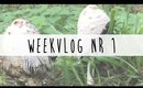Vlog Week 1