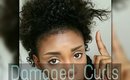 HOW TO : FIX DAMAGED CURLS/ HAIR TREATMENTS