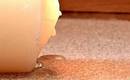 How to Remove Candlewax from Carpets