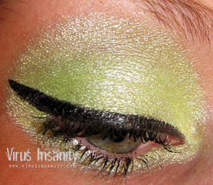 Virus Insanity eyeshadow, Vernal Equinox.
http://www.virusinsanity.com/#!__virus-insanity2/vstc8=greens-duo/productsstackergalleryv227=6