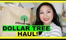 DOLLAR TREE HAUL! #8