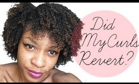 Hair| Watch my Natural Hair Revert