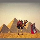 Tour Guides In Egypt