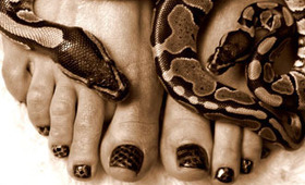 Would You Pay $300 For Snakeskin Nails?