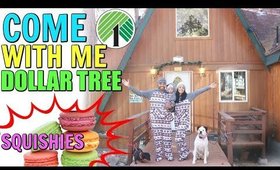 COME WITH ME TO DOLLAR TREE! AMAZING LITTLE FINDS! BIG BEAR VLOG!