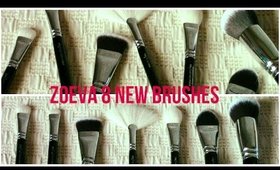 Zoeva: 8 New Brushes!
