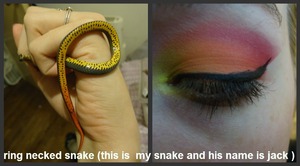 awkward eyeliner, but hey, late night makeup! (im not hurting my snake, and yes he is still so tiny , this is his natural colors, with this olive color on his top)