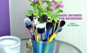 Basic Brushes For Beginners- Eye Brushes