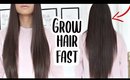 How To Grow Your Hair Fast & Long + How To Get Rid Of Dandruff OVERNIGHT!