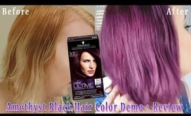 Schwartzkopf "Amethyst Black" on Blonde Hair Dye Demo + Review